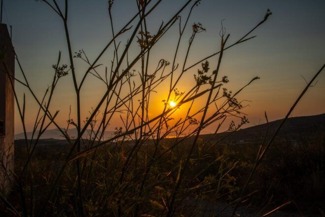 Naxos: Photography Session for 2 Hours. . . - Photographers Expertise
