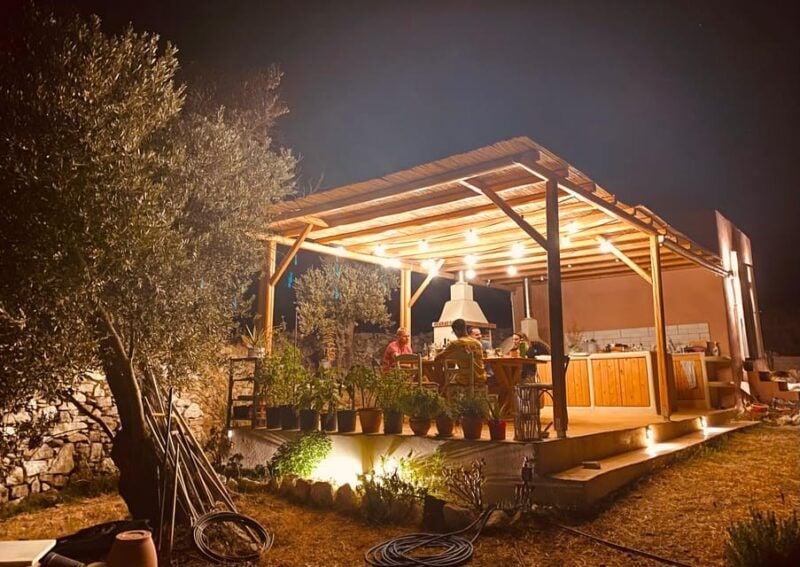 Naxos : Private BBQ night in the olive grove - Who Should Book This Experience?