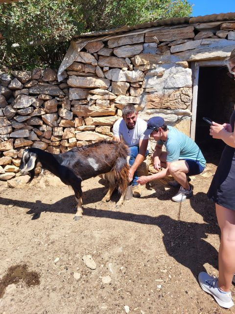 Naxos: Private E-Bike Tour With Lunch Ode-Yssey Uncharted - Experience Highlights