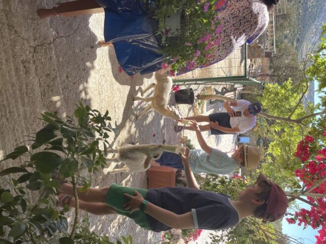 Naxos: Private Half-Day Family-Friendly Tasting Tour - Full Description