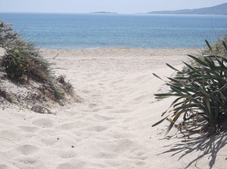 Naxos: Private Minibus Rental With an Experienced Driver - Experience