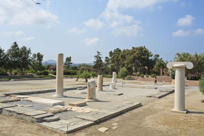 Naxos: Private Minibus Rental With an Experienced Driver - Highlights