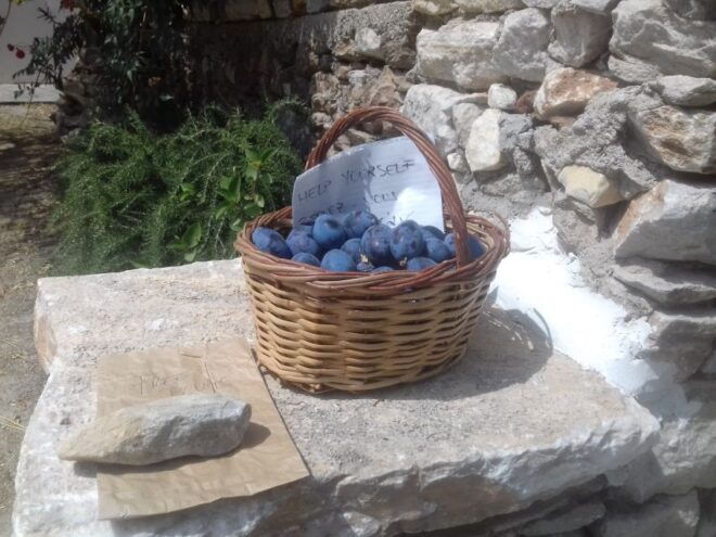 Naxos: Private Minibus Rental With an Experienced Driver - Know Before You Go