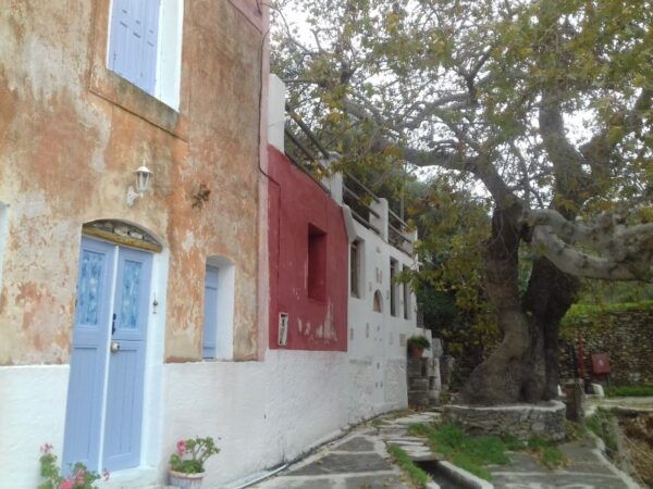 Naxos: Private Minibus Rental With an Experienced Driver - Common Questions