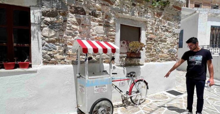 Naxos Private Tour With Food Tasting - Activity Details