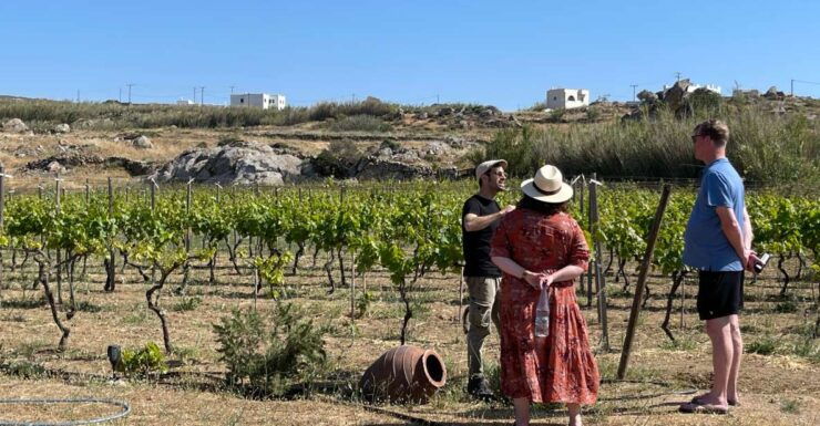 Naxos: Private Vineyard Tour & Wine Tasting With an Expert - Activity Details