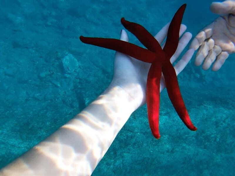 Naxos: Taormina Boat Tour with Snorkeling and Prosecco - The Experience in Detail