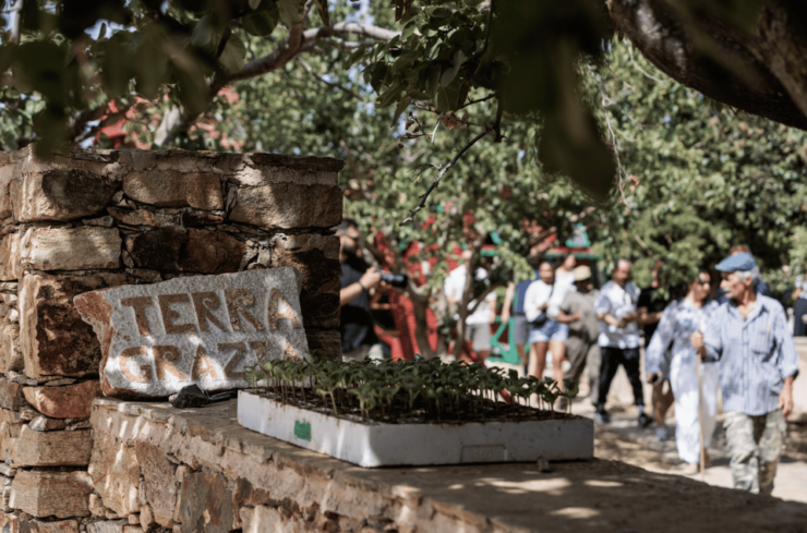 Naxos: Terra Grazia Winery Vineyard Tour and Wine Tasting - Good To Know
