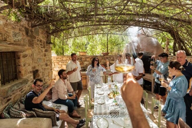 Naxos: Terra Grazia Winery Vineyard Tour and Wine Tasting - Unique Features of the Vineyard
