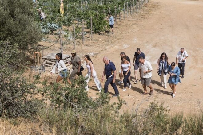 Naxos: Terra Grazia Winery Vineyard Tour and Wine Tasting - Culinary Pairings With Local Products