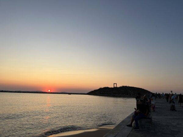 Naxos Town: Half-Day Minivan Rental With Driver - Driver Details