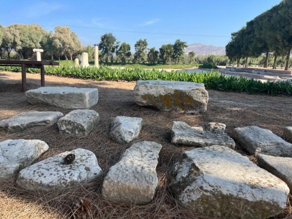 Naxos: Wine & Culture Tour - Wine and Naxian Heritage