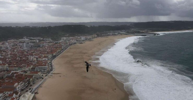 Nazaré: Big Wave Capital Tour From Lisbon - Activity Details