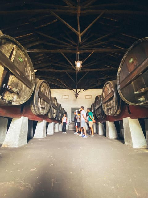 Nazaré - Óbidos E-bike and Wine tour - Good To Know