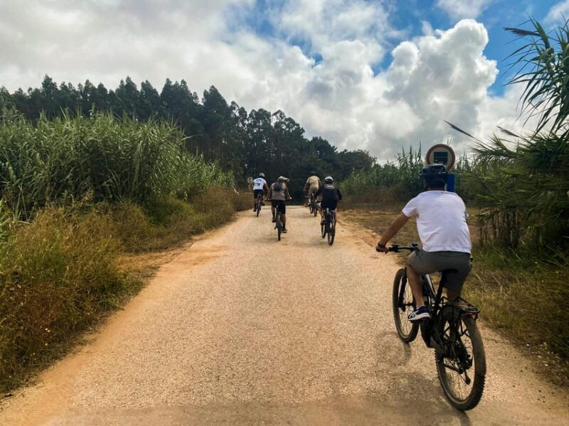 Nazaré - Óbidos E-bike and Wine tour - What to Expect on the Ride