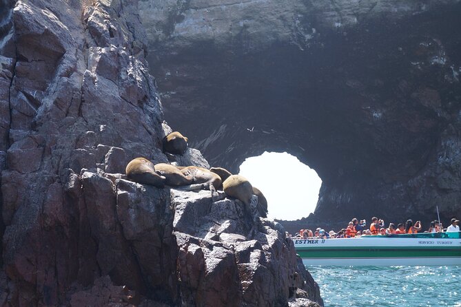 Nazca Lines and Ballestas Islands Full Day - Pricing and Availability