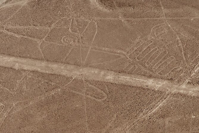 Nazca Lines + Cantalloc Aqueducts Tour - Tour Highlights