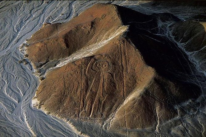 Nazca Lines From Nazca Airport - Traveler Photos and Featured Review