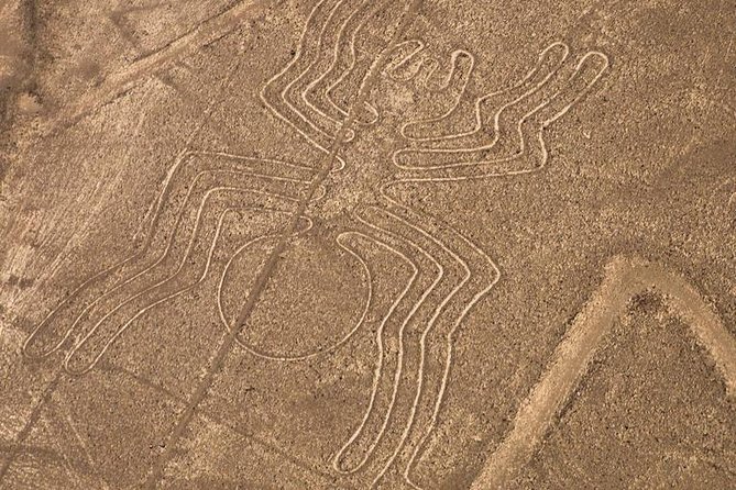 Nazca Lines From Nazca Airport - Additional Information and Tour Details