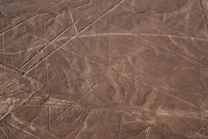 Nazca Lines From Nazca Airport - Common Questions