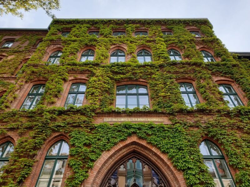 Nazi Berlin and the Jewish Community Tour - Who Will Love This Tour?