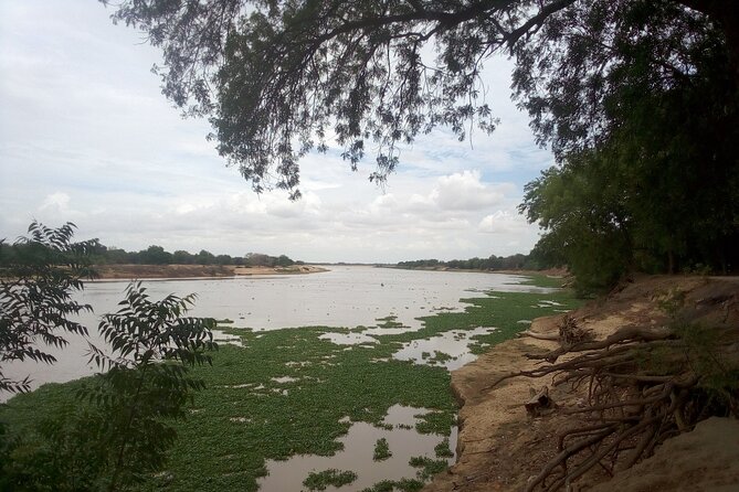 NDJAMENA the Elephant-Dandi Rock and Doughia Tourist Resort - Services and Requirements
