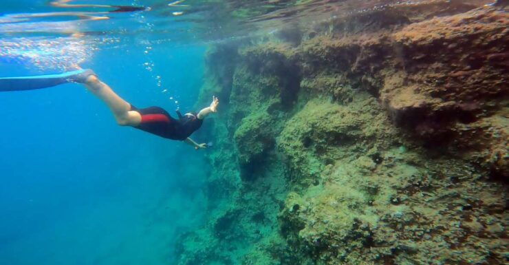 Nea Makri: Marathon Cape & Bay of Schinias Snorkeling Trip - Highlights