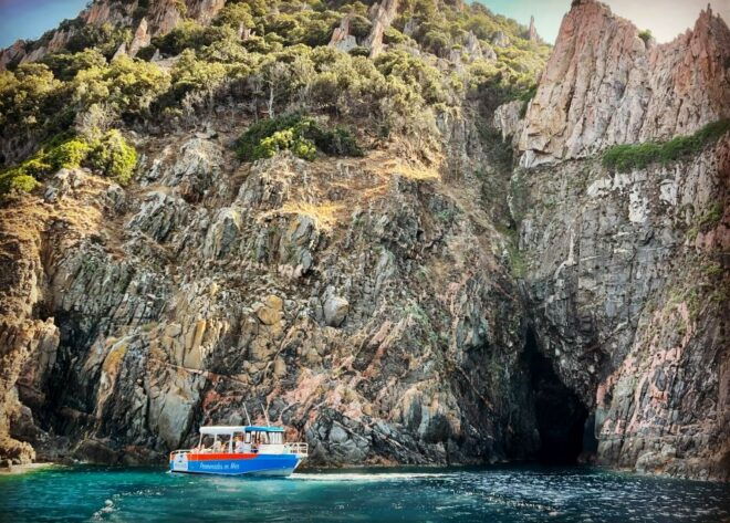Near Ajaccio : Cruise to Piana Scandola Cliff Tasting Sunset - Inclusions