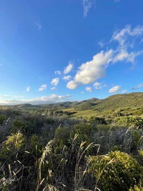 Near Cagliari: Almond Blossom Magic at "In Our Garden" (new) - Exploring Almond Blossom Magic at "In Our Garden" near Cagliari