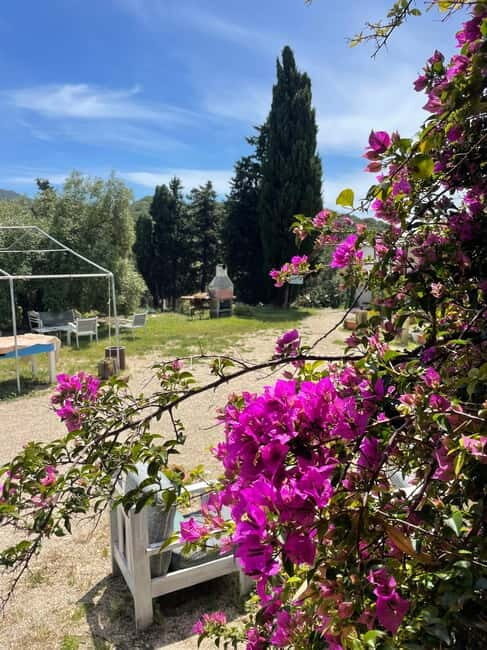 Near Cagliari: Almond Blossom Magic at "In Our Garden" (new) - Tasting Delights That Celebrate Sardinian Flavors