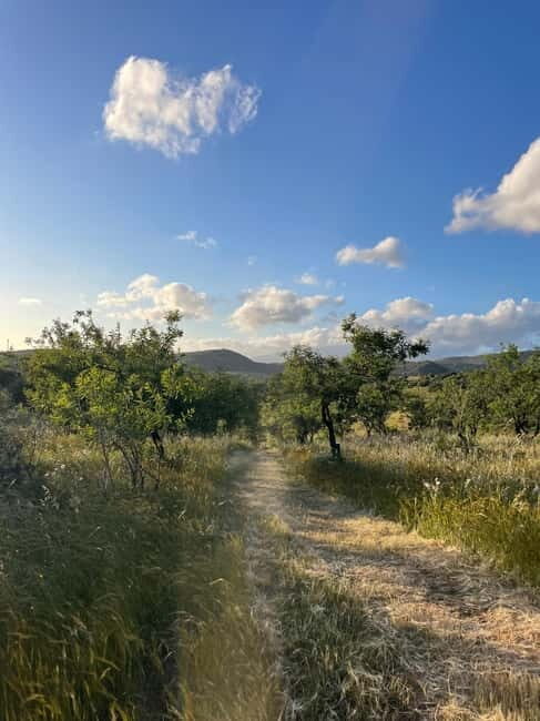 Near Cagliari: Almond Blossom Magic at "In Our Garden" (new) - Why It’s a Great Choice for Travelers