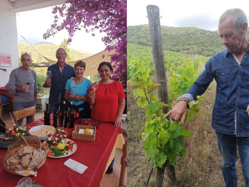 Near Cagliari: The World of Natural Wine at "In Our Garden" - The Guides: Claudio and Ramona