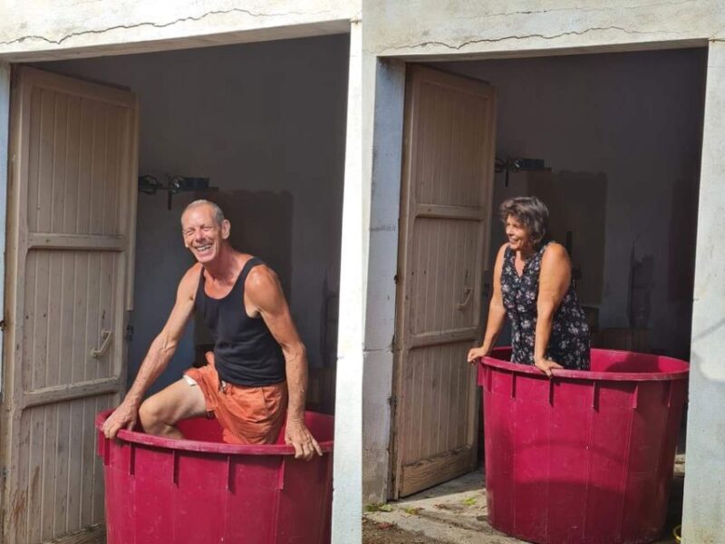 Near Cagliari: The World of Natural Wine at "In Our Garden" - The Sum Up