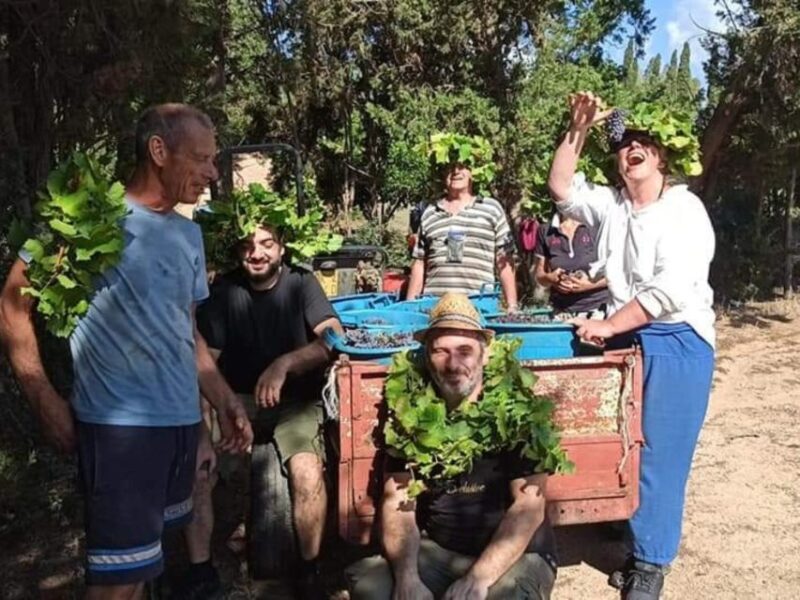 Near Cagliari: The World of Natural Wine at "In Our Garden" - Frequently Asked Questions (FAQs)