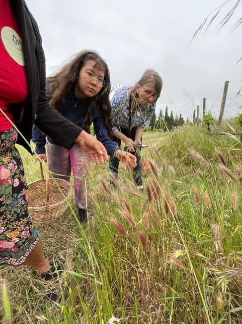 Near Cagliari: Wild Herbs and Healing at "In Our Garden" - An In-Depth Look at the Herbal Experience Near Cagliari