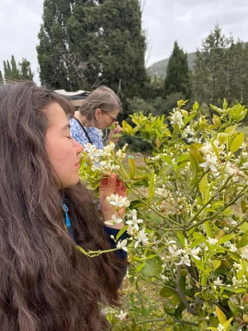 Near Cagliari: Wild Herbs and Healing at "In Our Garden" - FAQ