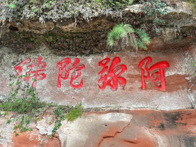 Near Chengdu: UNESCO Leshan Giant Buddha & Tasty Local Eats - Practicalities and Comfort