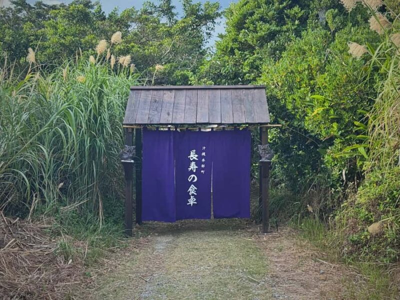 Near Churaumi Aquarium | Longevity Secrets × Food & Culture - Frequently Asked Questions