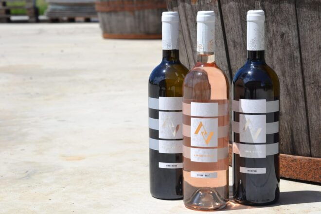 Near Rome: Wine Tasting in Exclusive Location - Relaxation Wines