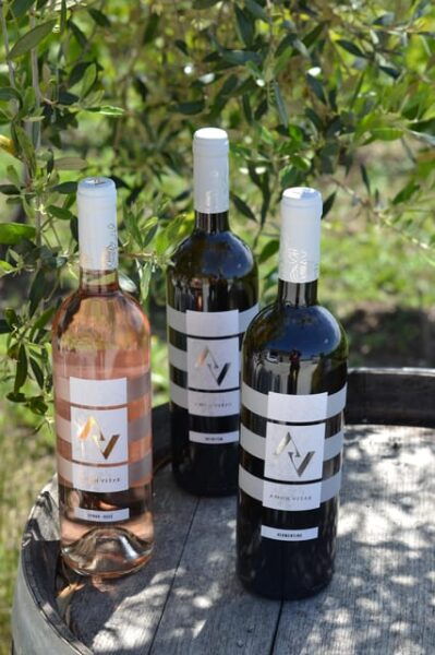 Near Rome: Wine Tasting in Exclusive Location - Reserving the Experience