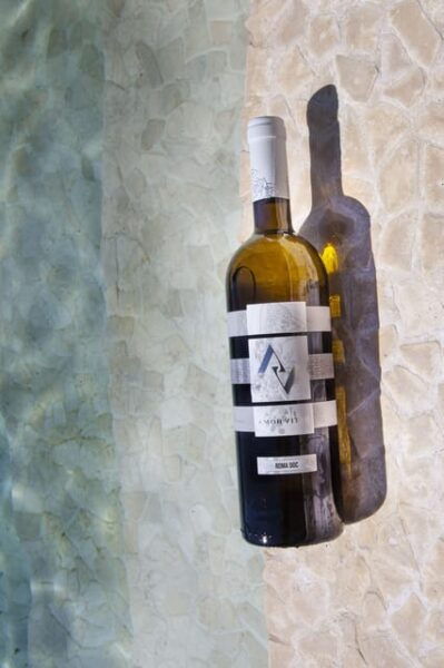 Near Rome: Wine Tasting in Exclusive Location - Frequently Asked Questions