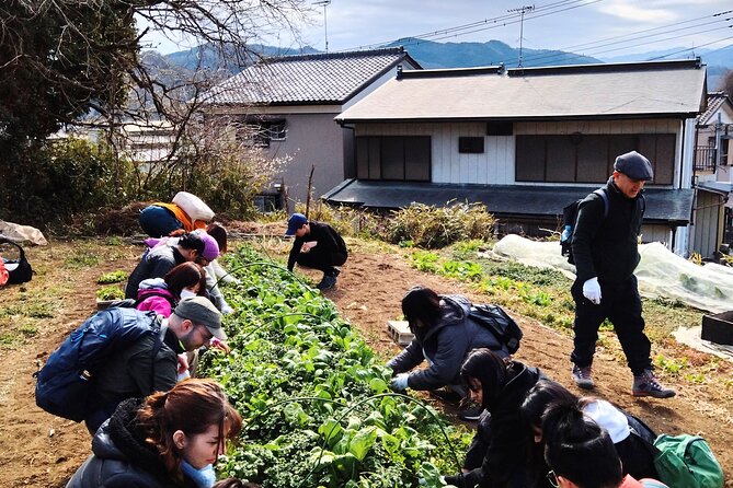 Near Tokyo: Organic Farming Experience With Forest Hiking - Additional Information