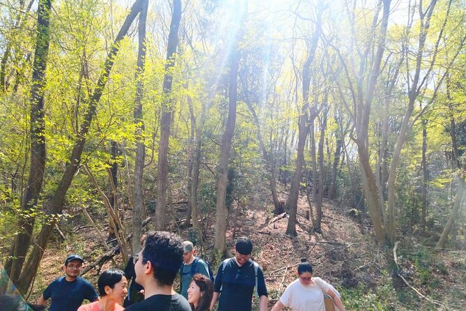Near Tokyo: Organic Farming Experience With Forest Hiking - Important Notes
