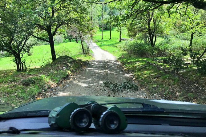 Nebrodi Jeep Adventure - Weather Policy