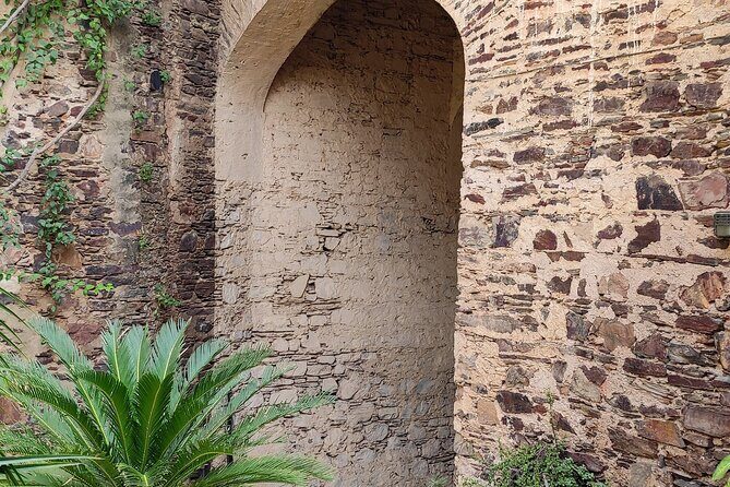 Neemrana Fort visit with Lunch From Delhi - A Full Breakdown of the Experience  