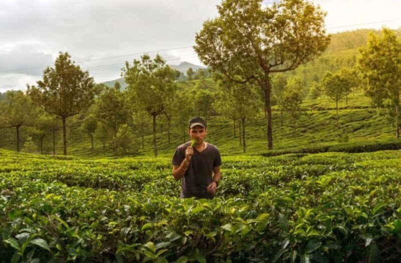 Negombo: 3-Day Sigiriya, Kandy, & Nuwara Eliya Tour - A Practical Overview of the Tour Experience