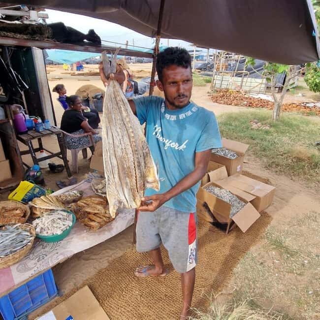 Negombo by Scooty: Ride Through the Citys Best Spots - Good To Know