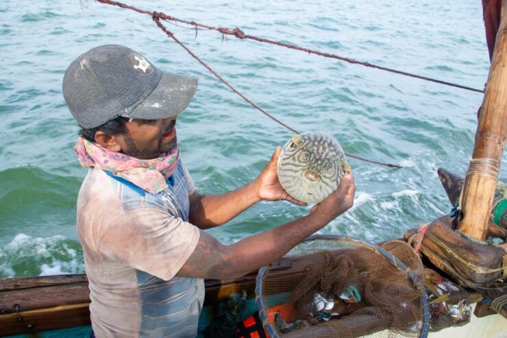 Negombo: Catamaran Sailing With Traditional Fishermen - Itinerary and Transportation Details