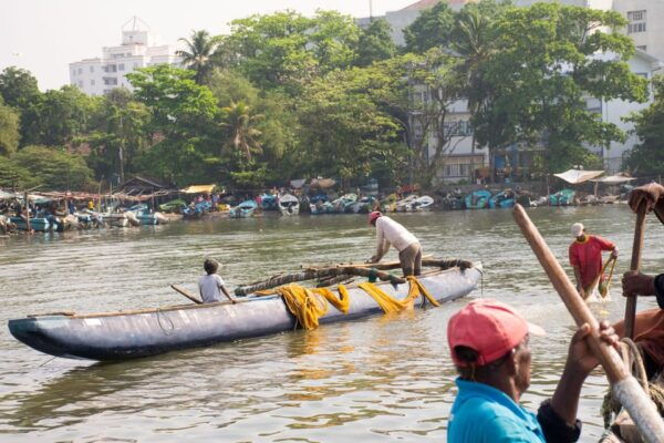 Negombo: Catamaran Sailing With Traditional Fishermen - Local Wildlife and Scenery