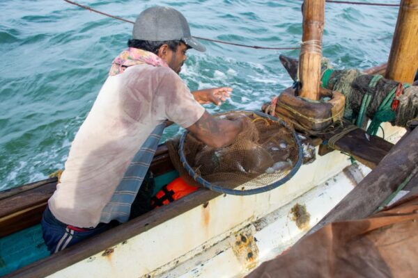 Negombo: Catamaran Sailing With Traditional Fishermen - Participant Guidelines and Restrictions